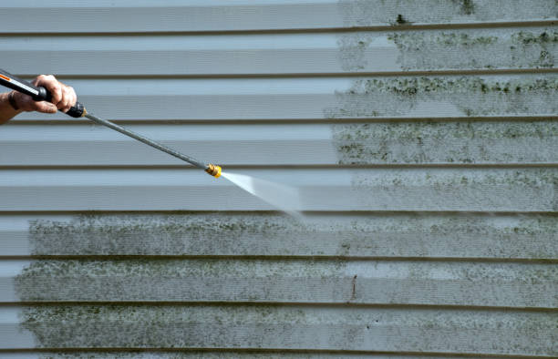 Best Roof Power Washing Services  in Morehead, KY